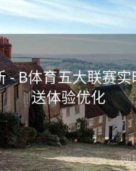 内容更新 - B体育五大联赛实时比分推送体验优化