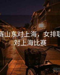 女排联赛山东对上海，女排联赛山东对上海比赛