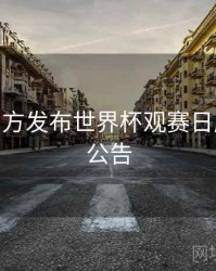 B体育官方发布世界杯观赛日历 - 官方公告