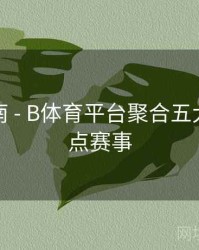 用户指南 - B体育平台聚合五大联赛焦点赛事