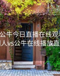 湖人vs公牛今日直播在线观看视频，湖人vs公牛在线播放直播