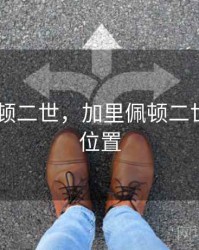 加里 佩顿二世，加里佩顿二世打什么位置