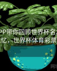 B体育APP带你回顾世界杯名场面 - 球迷记忆，世界杯体育彩票软件