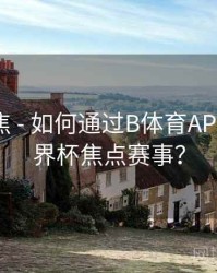 热点聚焦 - 如何通过B体育APP预约世界杯焦点赛事？