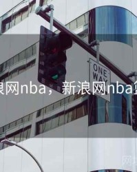 新浪网nba，新浪网nba篮球