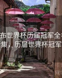 B体育发布世界杯历届冠军全名单｜亮点合集，历届世界杯冠军表格
