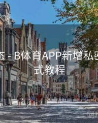 实时动态 - B体育APP新增私密观赛模式教程