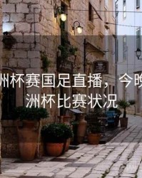 今晚亚洲杯赛国足直播，今晚国足亚洲杯比赛状况