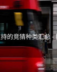 B体育支持的竞猜种类汇总 - 操作指引