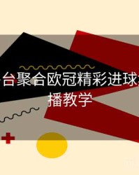 B体育平台聚合欧冠精彩进球集锦 - 直播教学