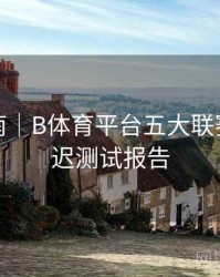 专题指南｜B体育平台五大联赛直播延迟测试报告