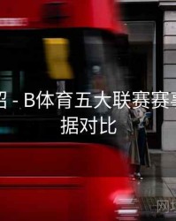 功能介绍 - B体育五大联赛赛事历史数据对比