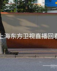 上海东方卫视直播回看