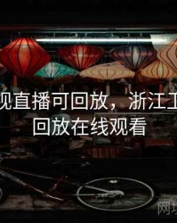 浙江卫视直播可回放，浙江卫视直播回放在线观看