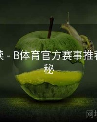 新手必读 - B体育官方赛事推荐系统揭秘