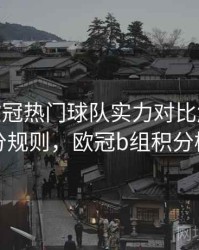 B体育欧冠热门球队实力对比解析 - 积分规则，欧冠b组积分榜