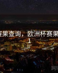 欧洲杯赛果查询，欧洲杯赛果查询2021