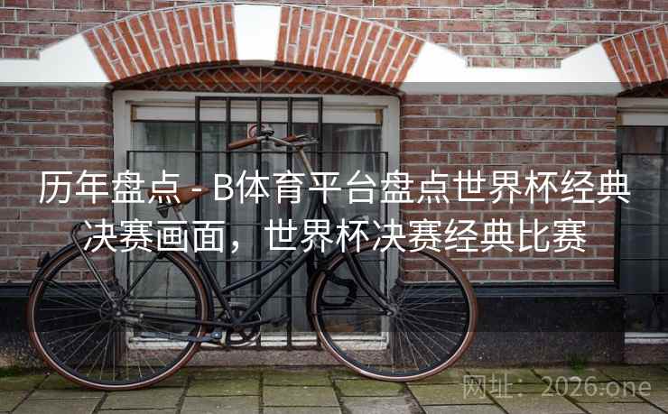 历年盘点 - B体育平台盘点世界杯经典决赛画面，世界杯决赛经典比赛