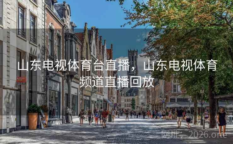 山东电视体育台直播，山东电视体育频道直播回放