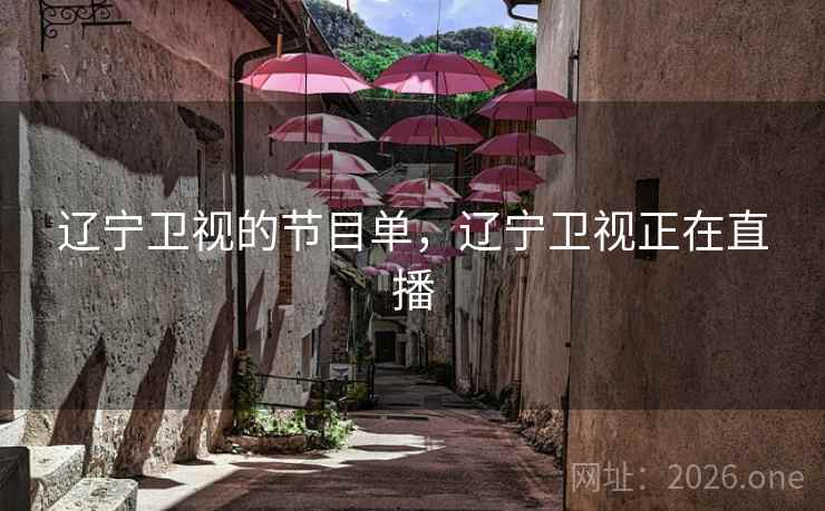 辽宁卫视的节目单，辽宁卫视正在直播