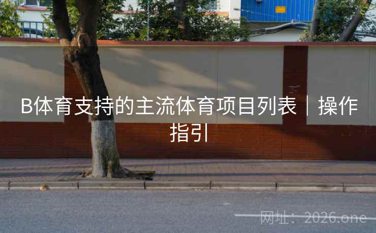 B体育支持的主流体育项目列表｜操作指引