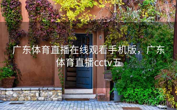 广东体育直播在线观看手机版，广东体育直播cctv五