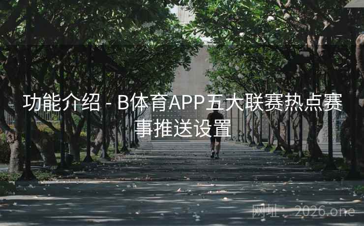 功能介绍 - B体育APP五大联赛热点赛事推送设置