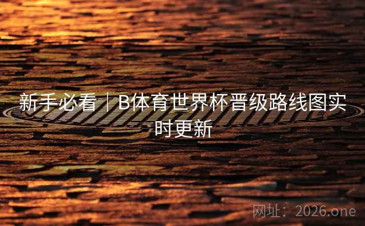 新手必看｜B体育世界杯晋级路线图实时更新