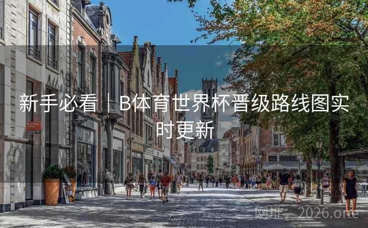 新手必看｜B体育世界杯晋级路线图实时更新