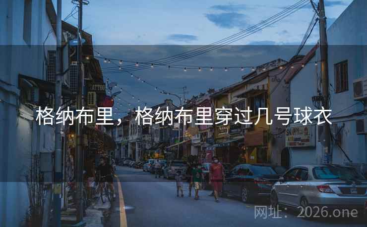 格纳布里，格纳布里穿过几号球衣