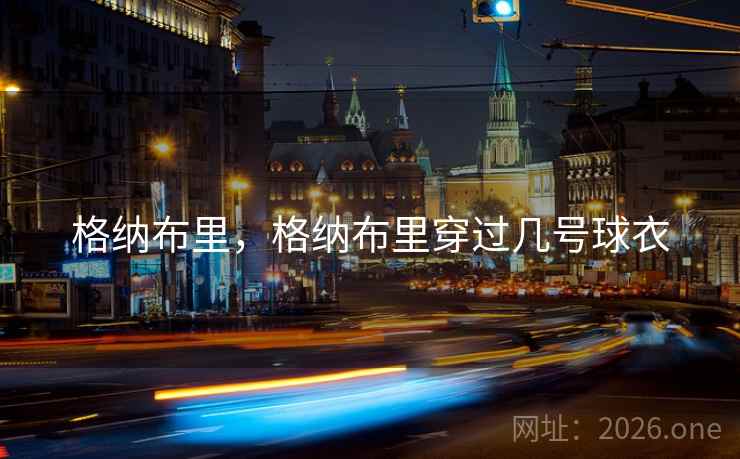 格纳布里，格纳布里穿过几号球衣
