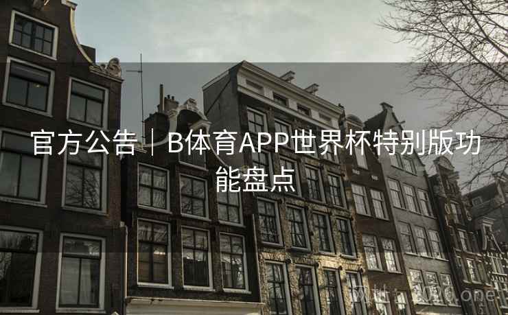 官方公告｜B体育APP世界杯特别版功能盘点