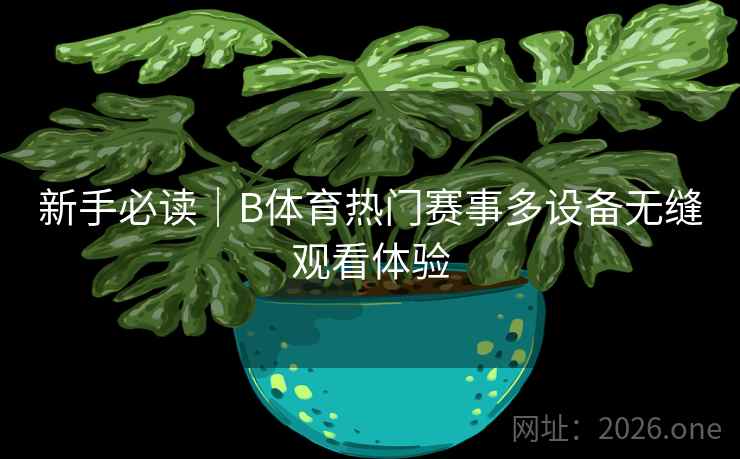 新手必读｜B体育热门赛事多设备无缝观看体验
