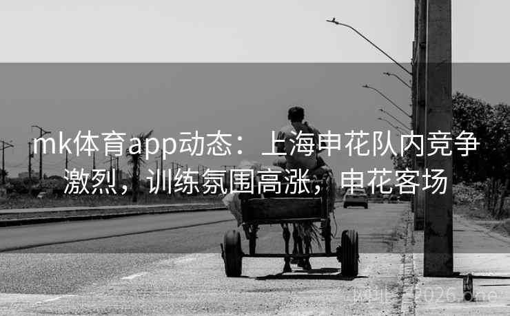 mk体育app动态：上海申花队内竞争激烈，训练氛围高涨，申花客场