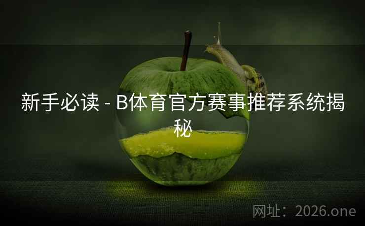 新手必读 - B体育官方赛事推荐系统揭秘
