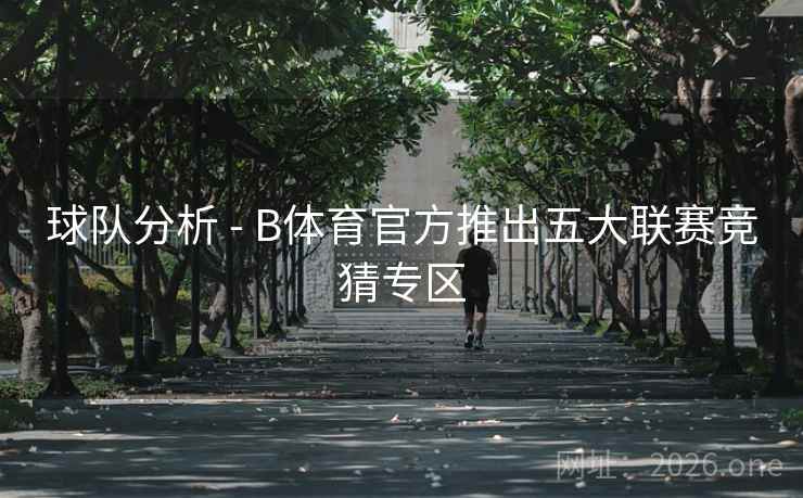 球队分析 - B体育官方推出五大联赛竞猜专区