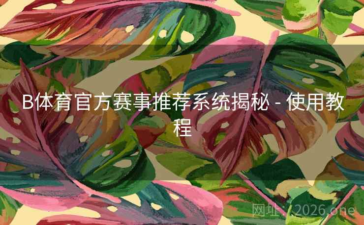B体育官方赛事推荐系统揭秘 - 使用教程
