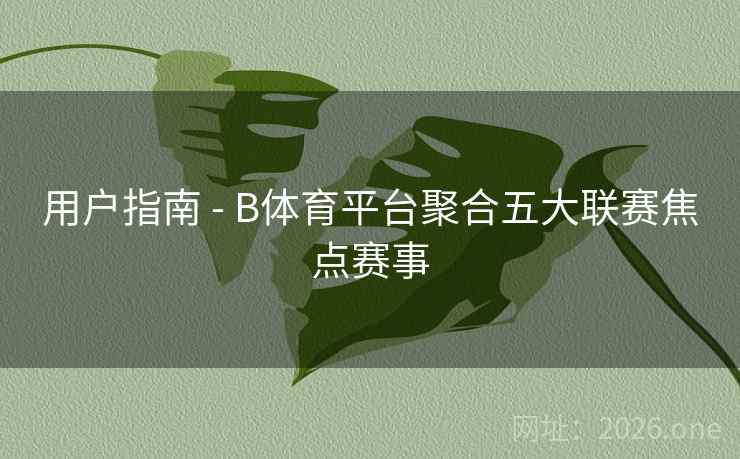 用户指南 - B体育平台聚合五大联赛焦点赛事