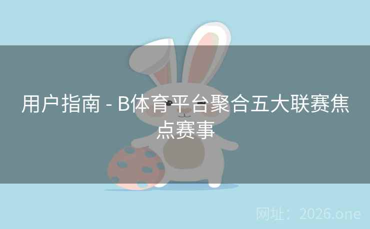用户指南 - B体育平台聚合五大联赛焦点赛事