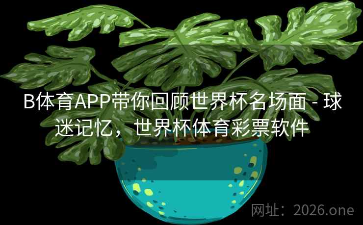 B体育APP带你回顾世界杯名场面 - 球迷记忆，世界杯体育彩票软件