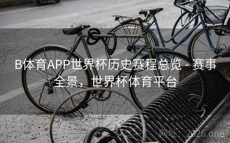 B体育APP世界杯历史赛程总览 - 赛事全景，世界杯体育平台