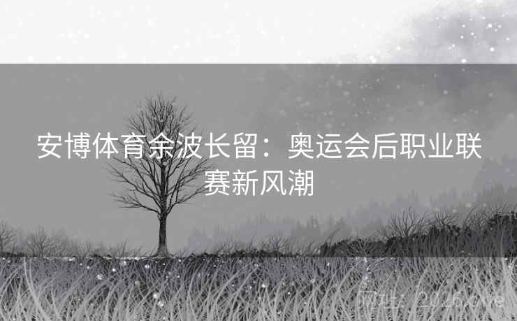 安博体育余波长留：奥运会后职业联赛新风潮