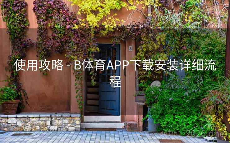 使用攻略 - B体育APP下载安装详细流程