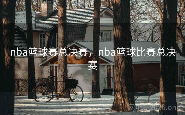 nba篮球赛总决赛，nba篮球比赛总决赛