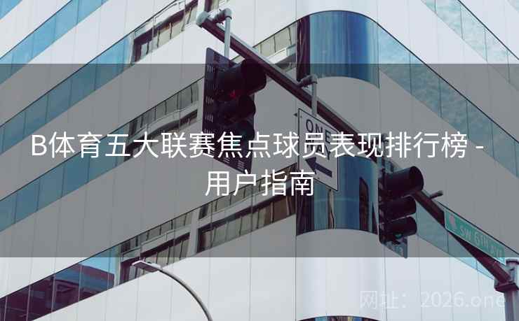 B体育五大联赛焦点球员表现排行榜 - 用户指南