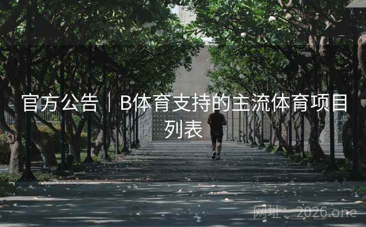 官方公告｜B体育支持的主流体育项目列表
