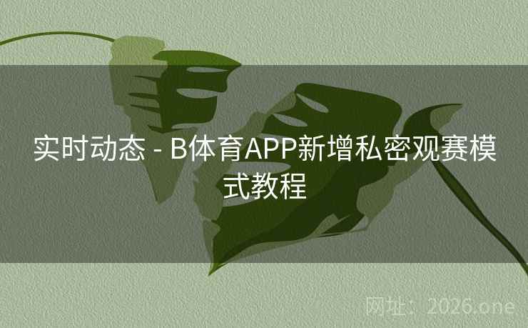实时动态 - B体育APP新增私密观赛模式教程