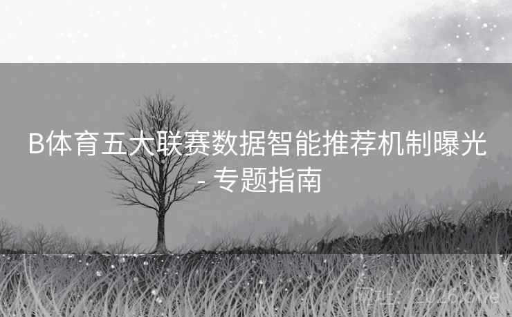 B体育五大联赛数据智能推荐机制曝光 - 专题指南