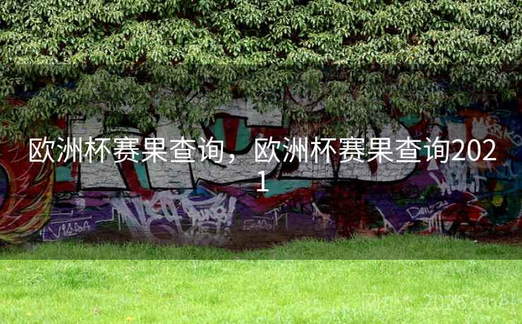 欧洲杯赛果查询，欧洲杯赛果查询2021